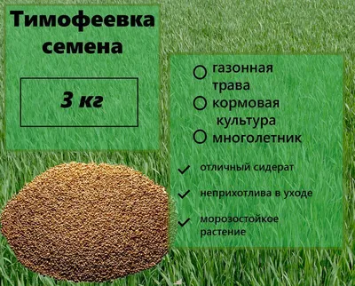 Семена травы эко моно \"Тимофеевка луговая\" 1 кг. (ID#205010300), цена: 8  руб., купить на Deal.by