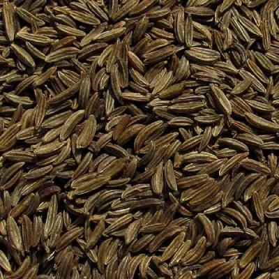 Тмин семена, 1кг - купить с доставкой по выгодным ценам в интернет-магазине  OZON (253892528)