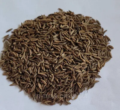 Семена черного тмина Musafir, 100 г купить в Москве недорого в  интернет-магазине Arabic Shop