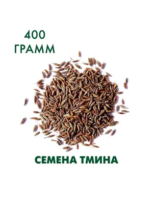 Семена тмина целые (ID#1618113589), цена: 135 ₴, купить на Prom.ua
