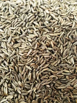 Купить семена черного тмина калинджи Житница здоровья 250 г, цены на  Мегамаркет | Артикул: 600001248217