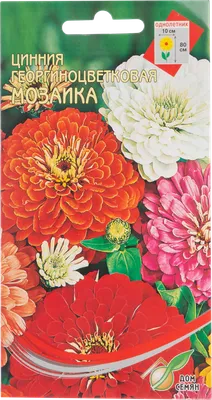 Семена Цинии Энви ,однолетнее растение,0,3г (ID#1513941215), цена: 5 ₴,  купить на Prom.ua