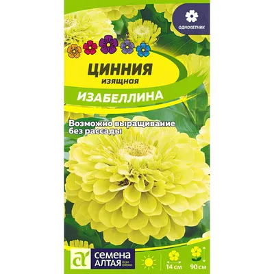 Выращивание цинии из семян - Agro-Market24