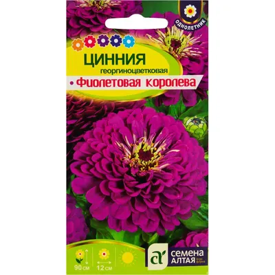 Семена Циния Вишневая королева 0,3г Аэлита - купить в интернет магазине  ХозСити по низким ценам