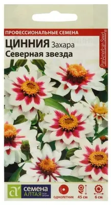 Семена цветов Поиск Циния кактусовидная микс, 0,4 г: купить в Москве, цена  30 руб. в интернет-магазине | Код: VR207992