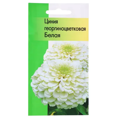 Как отобрать семена, из которых вырастут махровые цинии. | В окружении  цветов. | Дзен