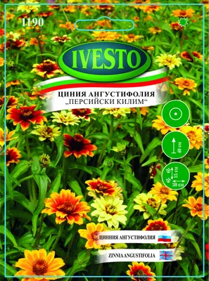 Семена цинии Дейлиа ярко-красная от 10 шт Floragran купить в Украине -  фото, отзывы, описание ᐉ Agriks.com.uа