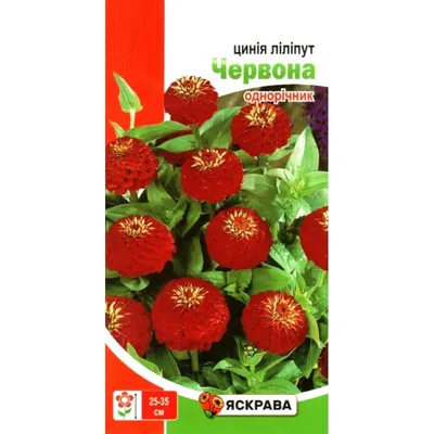 Семена цинии лилипут Красная, 0,5г, ТМ Яскрава купить по цене 3.00 грн. -  ОптоМания