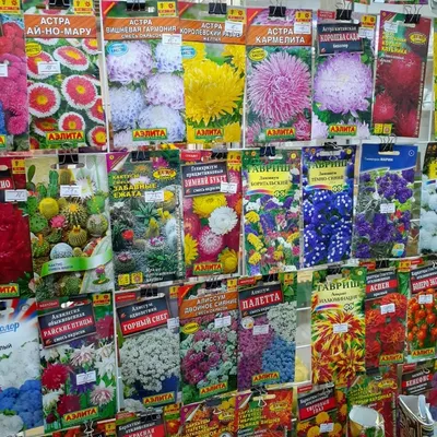 Купить Семена цветов в ассортименте - Мастерская Lideski Смоленск
