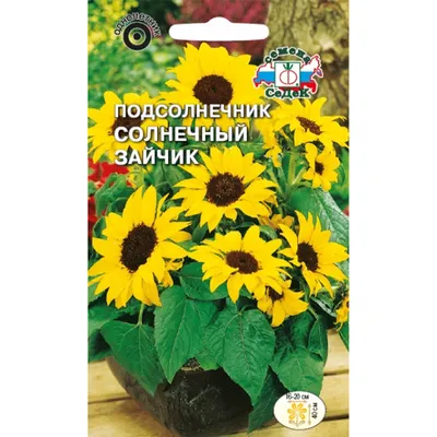 ᐉ Семена цветов и луковицы в Киеве купить в Эпицентр К • Цена в Украине