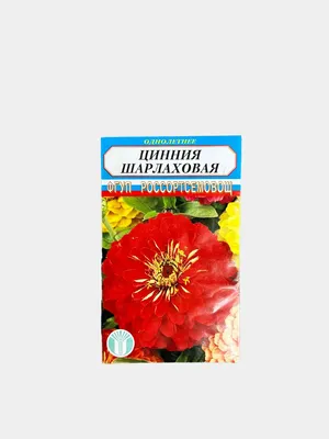 Семена цветов Поиск Цинния изящная Италия, 0,4 г купить в Москве по цене  23.00 р с доставкой в интернет-магазине | ФРОНТМАСТЕР