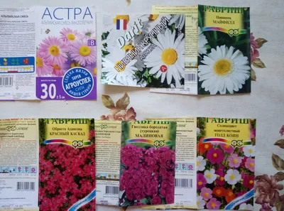 Семена цветов в Воронеже, купить семена цветов в интернет-магазине по  низким ценам