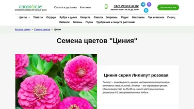 Семена цветов купить в интернет-магазине Цветочный Дворик | Киев, Украина