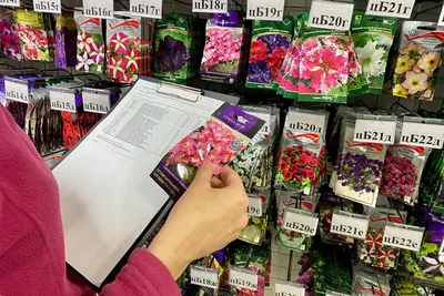 Купить семена цветов Циния почтой в Беларуси в интернет-магазине, каталог  семян с ценами