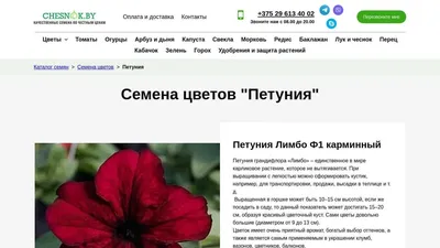 Ангелония смесь цветов семена от bufl.ru
