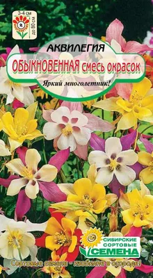 Семена цветов Дурман Балерина, смесь махровая, каталог семян почтой РБ
