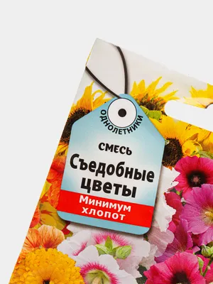 Лимониум (кермек) смесь - купить семена цветов с доставкой по Украине в  магазине Добродар