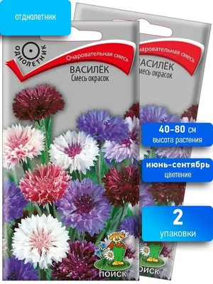 Семена васильков / Василек Блю Бол / Семена цветов Агрохолдинг Поиск  61733477 купить в интернет-магазине Wildberries