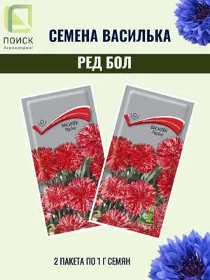 Семена цветов васильков РЕД БОЛ - 2 пакета ПОИСК 148798556 купить за 129 ₽  в интернет-магазине Wildberries