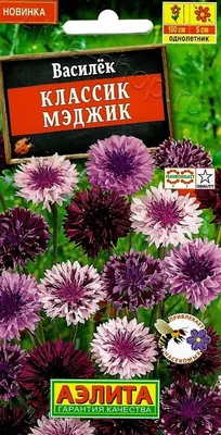 Семена Василек Классик Мэджик 0,1г Аэлита - купить в интернет магазине  ХозСити по низким ценам