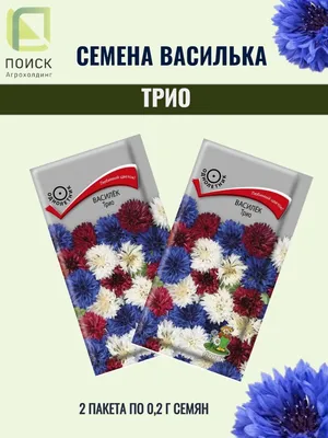 Семена васильков ТРИО - 2 пакета ПОИСК 148798558 купить в интернет-магазине  Wildberries