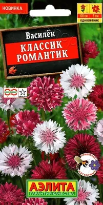 Семена Василек Классик Романтик 0,1г Аэлита - купить в интернет магазине  ХозСити по низким ценам