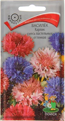 Семена василька однолетнего садового купить почтой по всей Беларуси и в  Минске