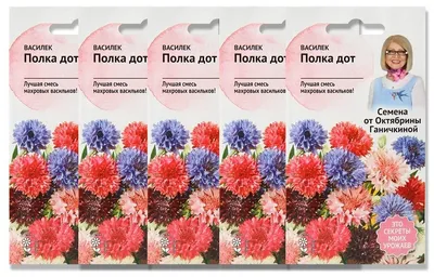 Набор семян Василек Полка дот 0.2 г - 5 уп. — купить в интернет-магазине по  низкой цене на Яндекс Маркете