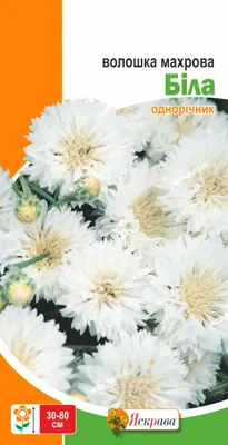 Семена цветов Василек ᐈ купить в Киеве: цена, отзывы | ROZETKA