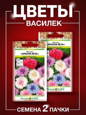 Василек подбеленный, купить рассаду, саженцы, оптом и в розницу, с доставкой