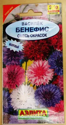 Семена василька однолетнего садового купить почтой по всей Беларуси и в  Минске