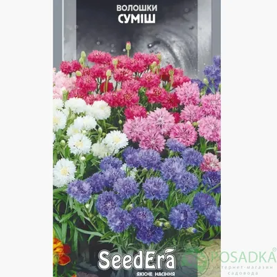 Семена Васильков - купить в России по выгодной цене в интернет магазине  Долина Сад