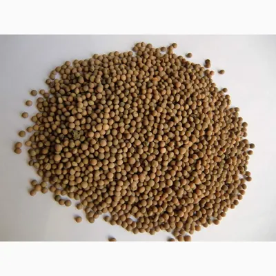 Семена Вики яровой 1 кг (ID#1944233426), цена: 50 ₴, купить на Prom.ua