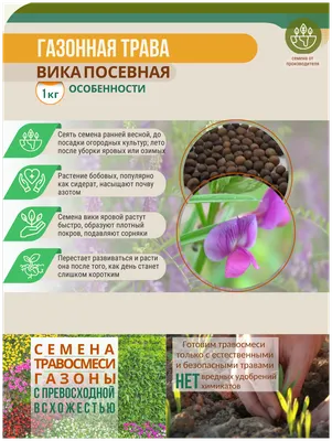 Семена Вика, Мой Выбор, 1 кг - купить в Москве, цены на Мегамаркет