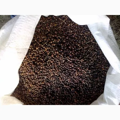 Семена Вики 1 кг Мосагрогрупп сидерат многолетний, цена 265 руб. купить в  Абинске