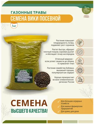 Семена вики озимой Глинковская в Краснодар, Россия - Семена, Другие -  trade.agroinform.tj бесплатные объявления куплю продам б/у