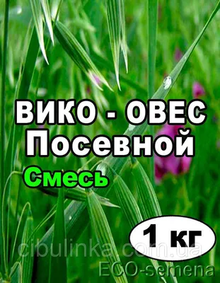 Зеленый уголок Семена Вика 0,5 кг. в пакете