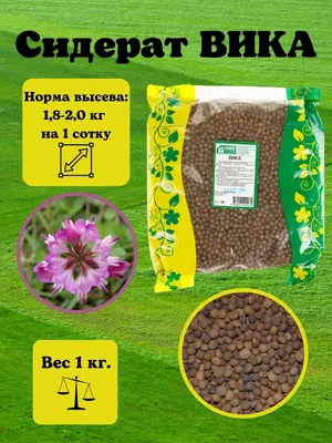 Семена вики яровой и озимой в Воронеже, купить семена вики яровой и озимой  оптом по доступным ценам