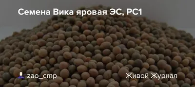 Вика яровая семена Геліос, купить - цена в интернет-магазине Супермаркет  Семян