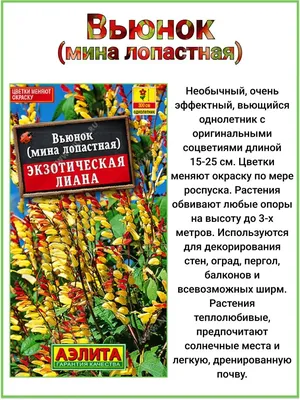 Вьюнки ПОИСК Агрохолдинг 47384_47383 - купить по выгодным ценам в  интернет-магазине OZON (523078855)