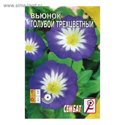 Семена Тимирязевский питомник цветы вьюнок Трехцветный Белое знамя 0.5г