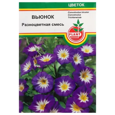 Вьюнок трехцветный смесь Семена Украины - купить семена цветов по самой  доступной цене с доставкой по всей Украине - Агромагазин “Фазенда”