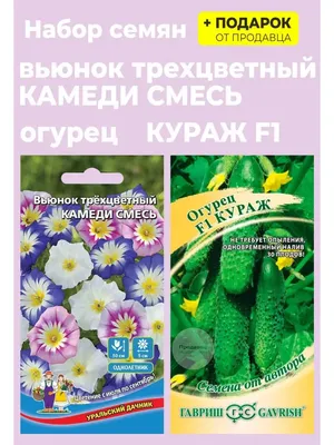 Вьюнок Трехцветный, смесь, семена цветов, Legutko, Польша.