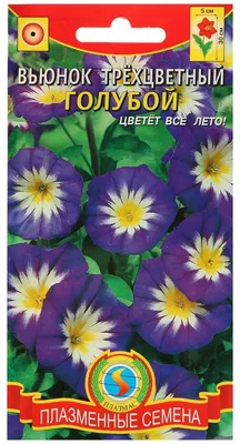 Семена цветы Вьюнок трехцветный, 1 г (ID#1136861800), цена: 8 ₴, купить на  Prom.ua