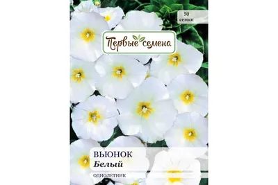 Семена цветов Вьюнок Трехцветный \"Голубой\", О, 0,5 г — купить в  интернет-магазине по низкой цене на Яндекс Маркете