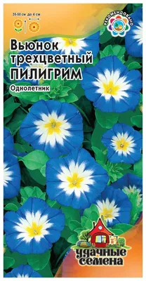 Семена цветов \"Вьюнок\", разноцветная смесь, 0,5 г (id 88734725)