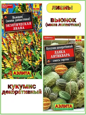 Вьюнок Трехцветный Тилл купить семена цветов | Питомник ВАСХНиЛ