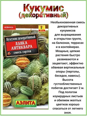 Семена вьюнок Евросемена Трехцветный смесь Р00002199 1 уп. - купить в  Москве, цены на Мегамаркет