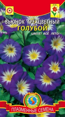 Семена набор вьюнок Поиск Синее знамя 95897 3 уп. - купить в Москве, цены  на Мегамаркет