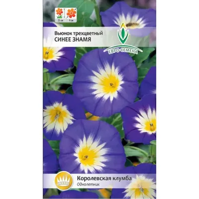 Купить семена Вьюнок трехцветный Искуситель, смесь в Минске и почтой по  Беларуси